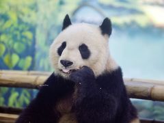 -天津市动物园