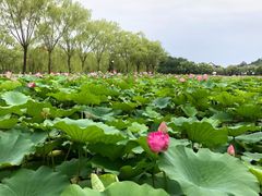 -南戴河国际娱乐中心