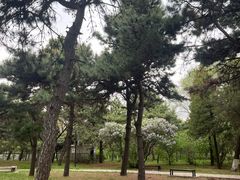 -北陵公园