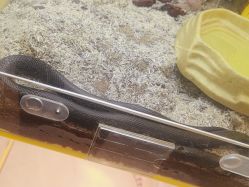 -神奇动物撸宠馆·羊驼·小浣熊·异宠(豫园店)
