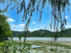 -鸣鹤古镇