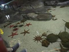 -福州罗源湾海洋世界旅游区