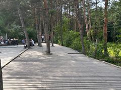 -帽儿山国家森林公园