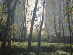 -上海财神庙