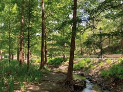 -白水寺森林公园