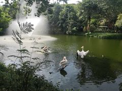 -深圳野生动物园