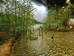 -浙江自然博物院(杭州馆)