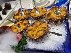 海胆-正黄旗海鲜烧烤大排档(延安路总店)