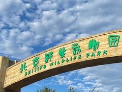 -北京野生动物园