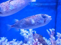 -多彩贵州城极地海洋世界