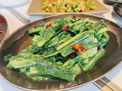 清炒油麦菜-本来精品川菜(嘉里中心店)