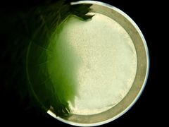 -Catail前苑(前门大街店)