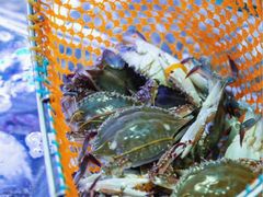 -海韵之星邮轮水会(明发商业广场店)