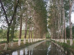 -东郊湿地公园