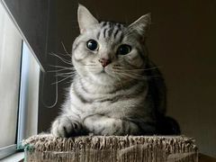 -兴福老面馆(寺路街店)