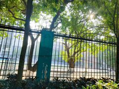 -晓港公园