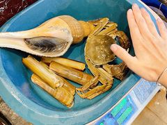 -金龙·打边炉(南京西路店)