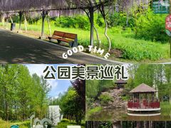 -东平国家森林公园