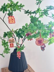 -清疣美疣·痣·斑净肤中心