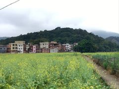 -玉龙寨旅游景区