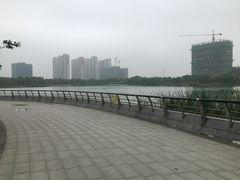 -南翔镇银翔湖公园