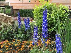 -长春公园(普阳街道)