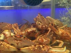 -V-ONE西雅图海鲜自助餐厅(仓山万达广场店)