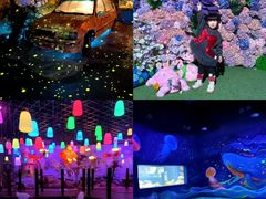 -顺德南宏海立方海洋公园