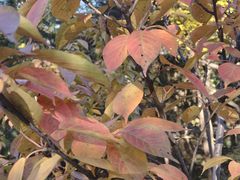 -森林公园(尖草坪区)