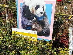 -栾川竹海野生动物园