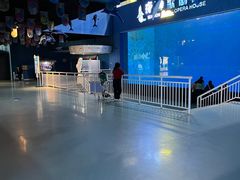 -西安曲江海洋极地公园