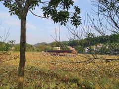 -红山村
