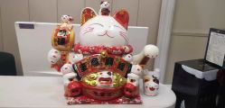 -静博士·养生养颜