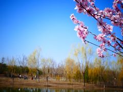 -东郊湿地公园
