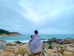 -广东惠东海龟国家级自然保护区