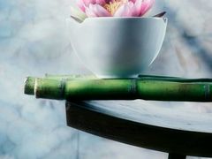 -金太粽(上海弄堂第一粽店)