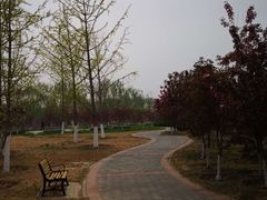 -永定河休闲森林公园