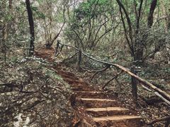-普者黑风景区-青龙山