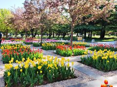 -石家庄市植物园