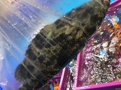 -盒马鲜生(189购物中心店)
