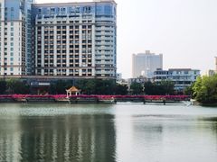 -OLD TREE老树咖啡·西餐厅(台山人工湖店)