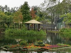 -成飞公园