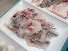 鱼片中份-中山脆肉鲩(新圳东路店)