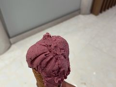 -莉莉熊Lililove Gelato (意大利手工冰淇淋)