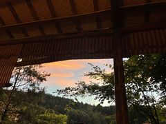 -武陵山森林公园