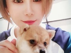 -逗柴咖啡屋·狗咖猫咖宠物桌游