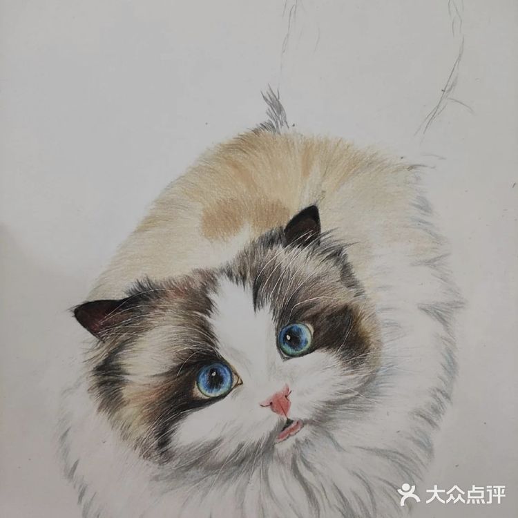 我的毛孩子[亲亲]