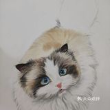 我的毛孩子[亲亲]