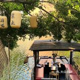 温州超出片|泉煮冰茶 迈入夏天的间隙里🍵