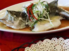 鲈鱼-胜记菜馆(文明路)